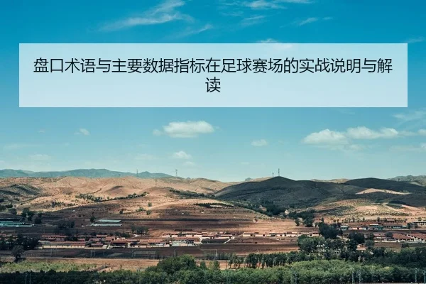 pan-kou-shu-yu-yu-zhu-yao-shu-ju-zhi-biao-zai-zu-qiu-sai-chang-de-shi-zhan-shuo-ming-yu-jie-du-2-315.jpg